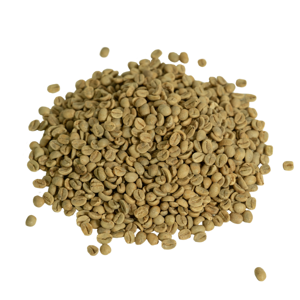 Cerro Prieto Estate Dominikanische Republik Artikelbild