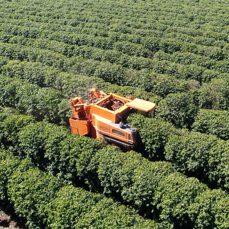 Eine moderne Erntemaschine auf der Kaffeeplantage in Brasilien