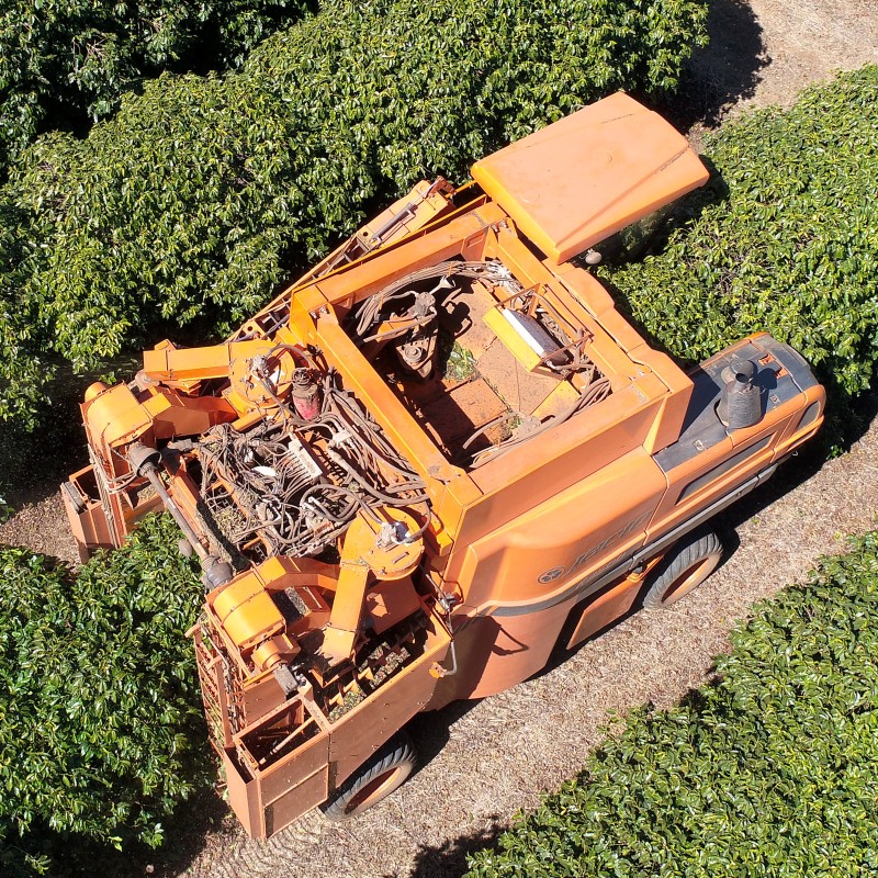Eine moderne Erntemaschine auf der Kaffeeplantage in Brasilien