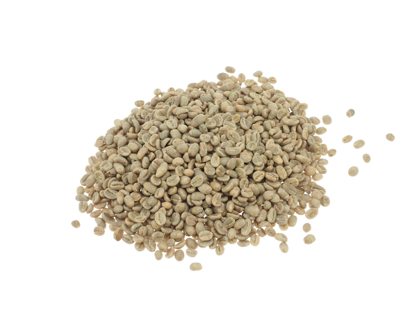 India Malabar Monsooned Artikelbild